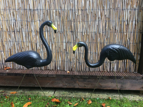 Spooky Black Flamingos (Plastic, Pair)