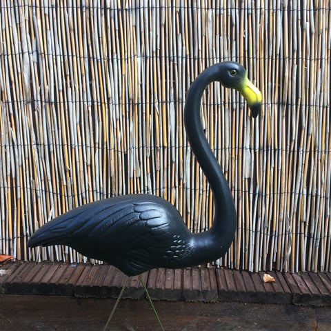 Spooky Black Flamingos (Plastic, Pair)