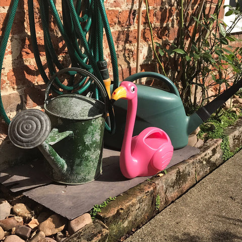 Flamingo Watering Can